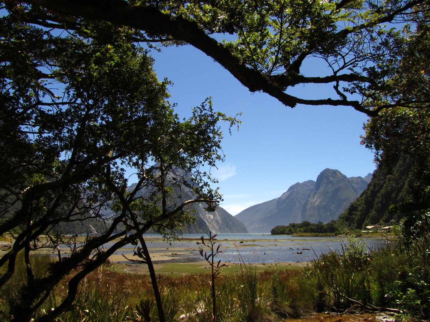 Milford Sound New Zealand